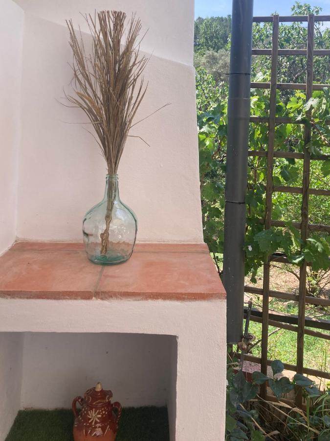 La Casita Villa Fuente del Oro Ngoại thất bức ảnh
